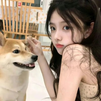 猫头鹰魔法社第一季